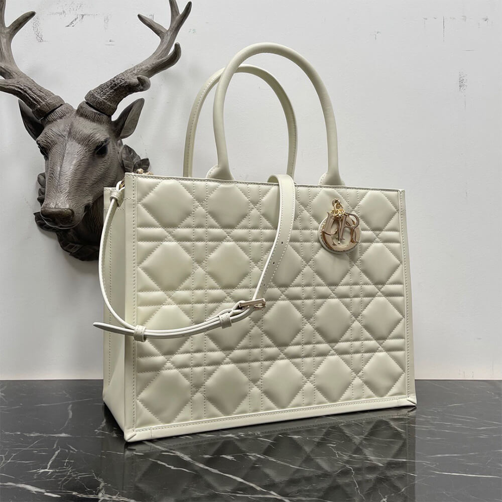 Dior Medium Dior Book Tote