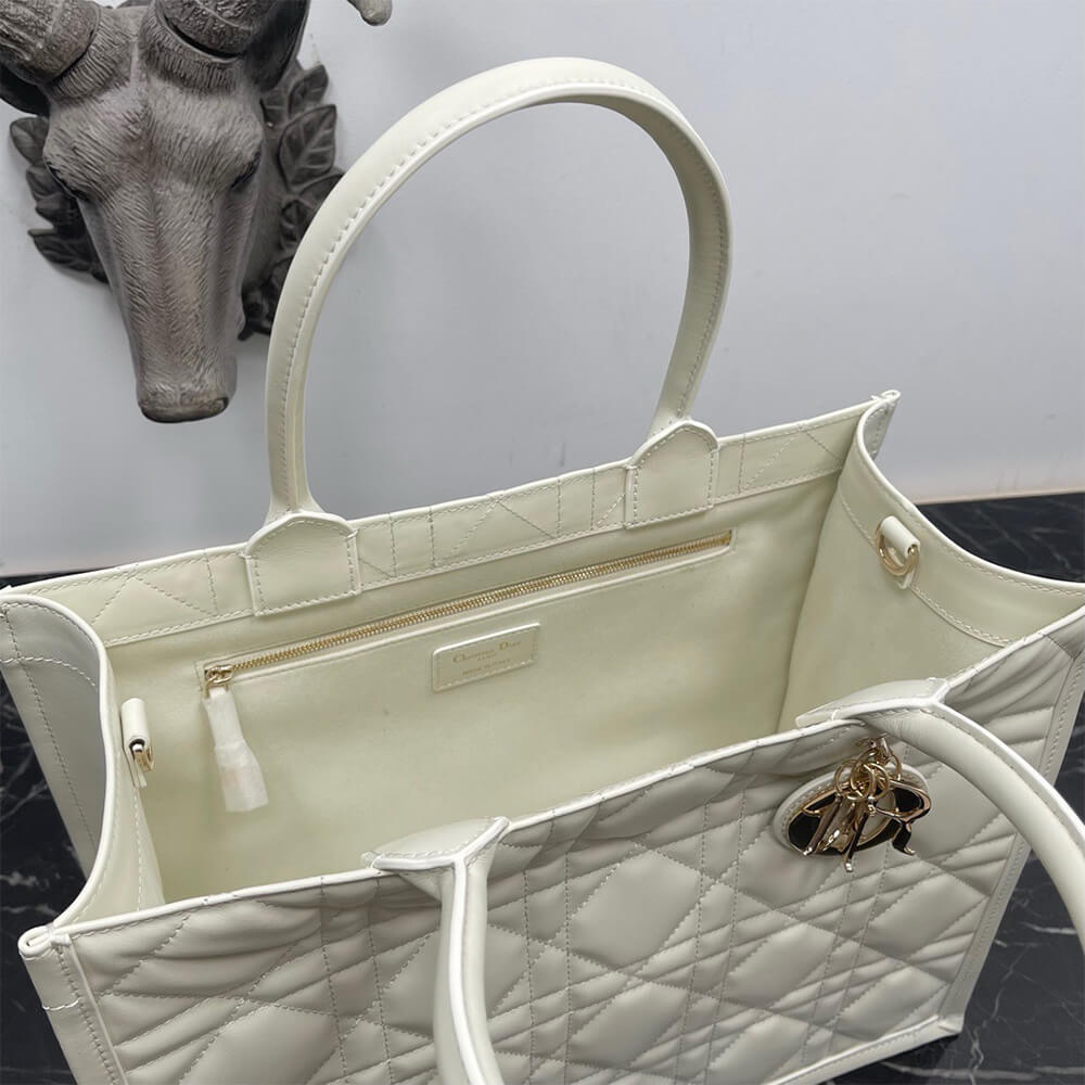 Dior Medium Dior Book Tote