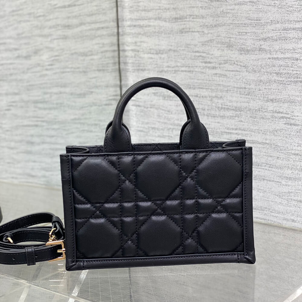 Mini Dior Book Tote