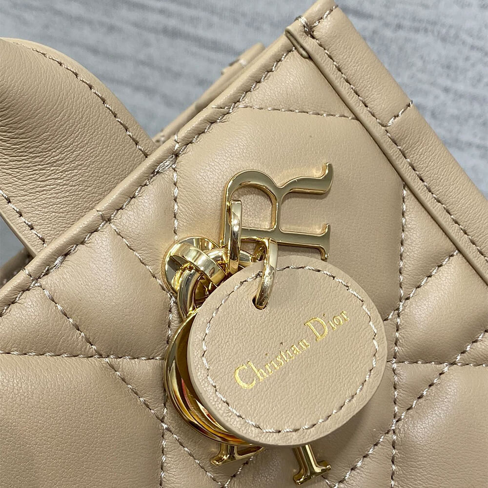Mini Dior Book Tote